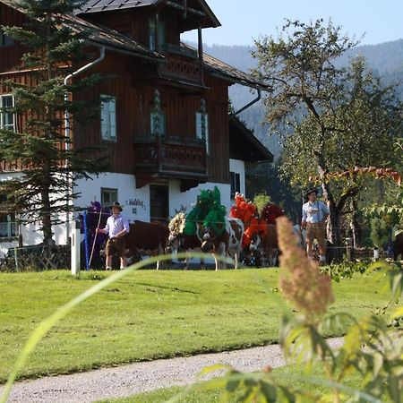 Gaestehaus Hoegerhof Hopfgarten im Brixental Exterior photo